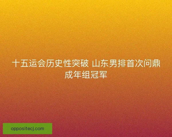 十五运会历史性突破 山东男排首次问鼎成年组冠军